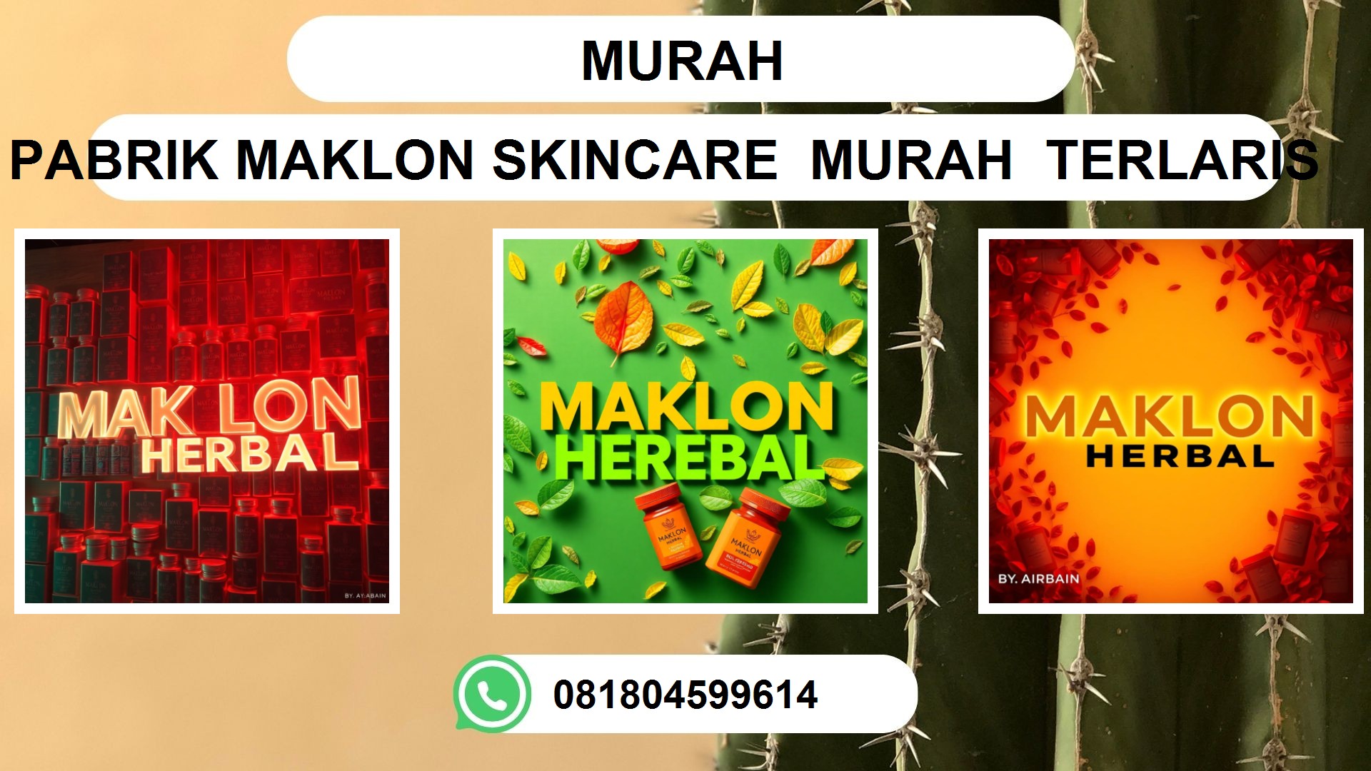 Jasa Maklon Obat Herbal Murah di Ambon, Pontianak, Makassar