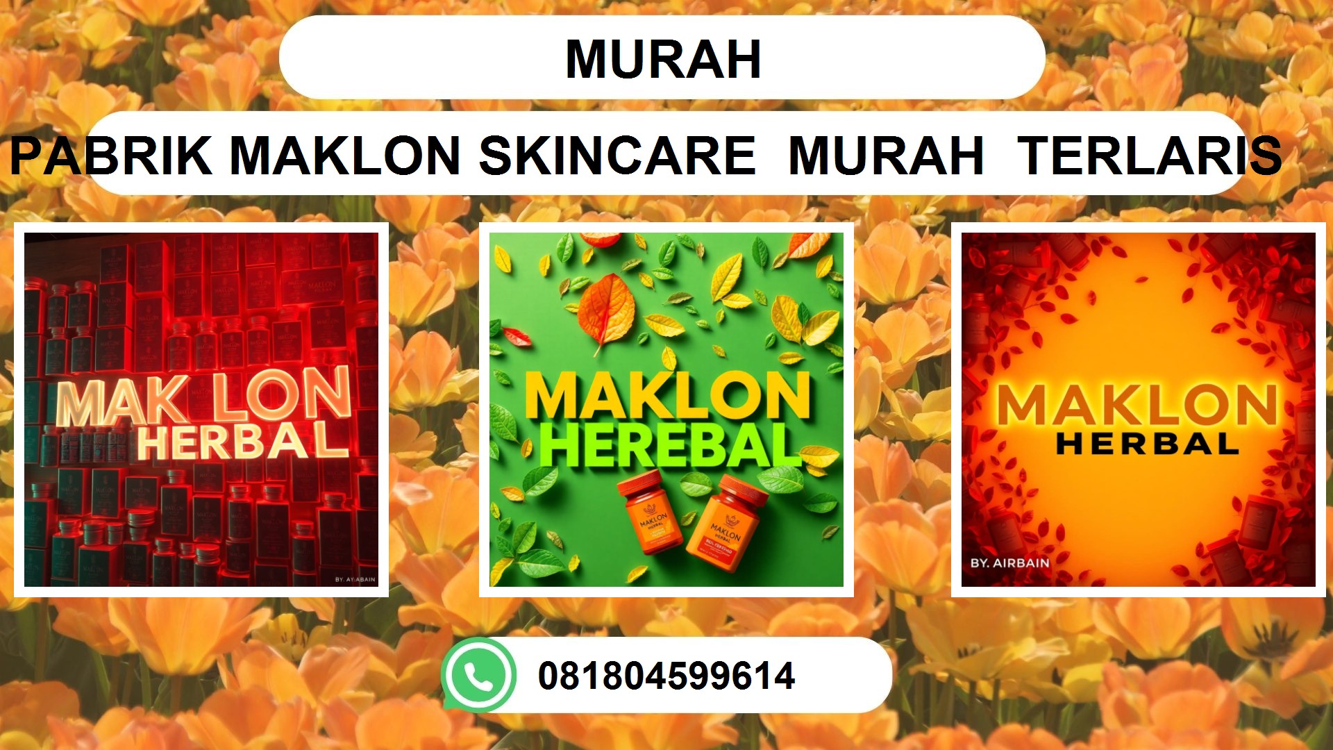 Jasa Maklon Obat Herbal Murah di Ambon, Pontianak, Makassar